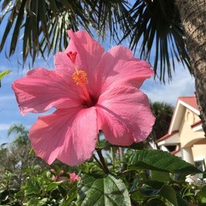 Meet your Posher, Sue